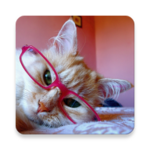 Logo of MeowReader android Application 